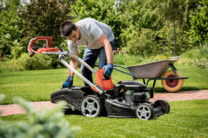 organic lawn care