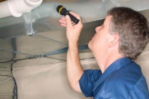 Residential Bee Removal Services Westfield NJ, Bee Removal and Relocation