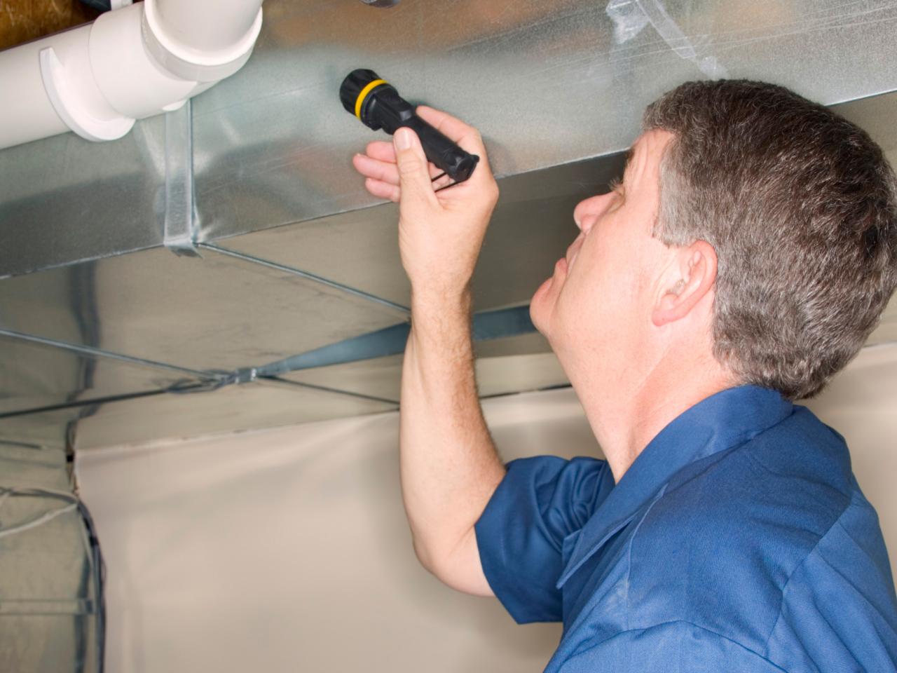 Residential Bee Removal Services Westfield NJ, Bee Removal and Relocation