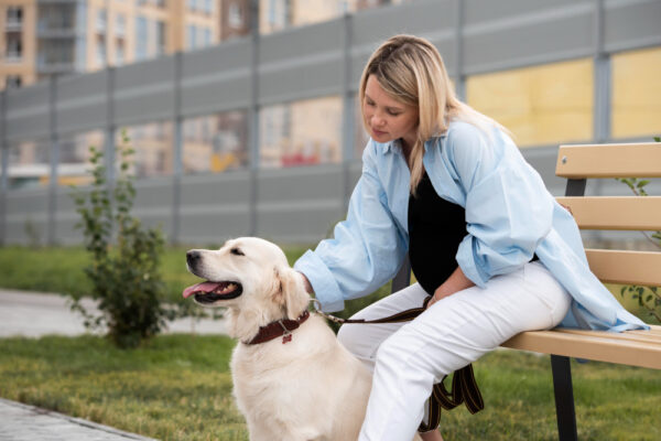 dog training Mercer County NJ