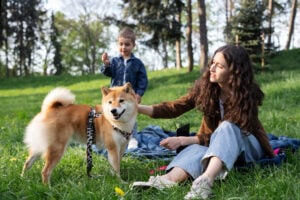 Dog Training Fort Worth TX