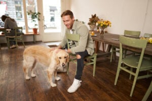 Dog Training Washington DC