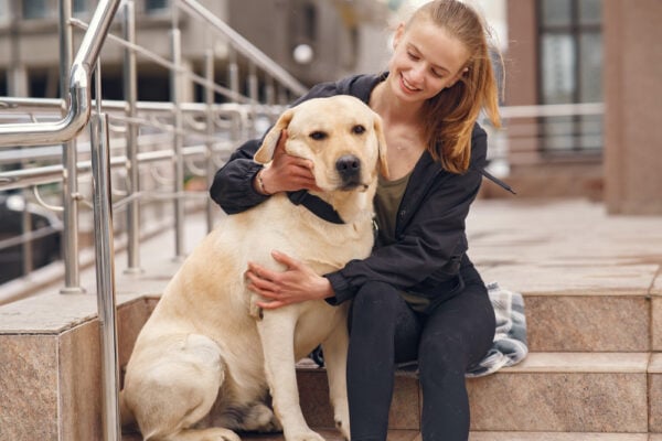 Dog Trainer Philadelphia PA