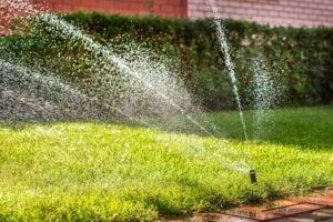 irrigation