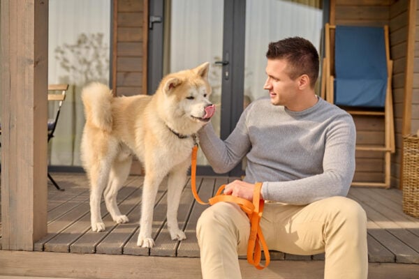 Dog Trainer Omaha NE