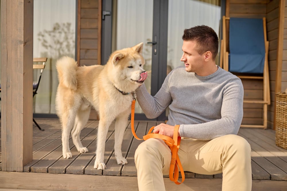 Dog Trainer Omaha NE