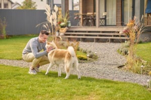 Dog Trainer Dallas TX