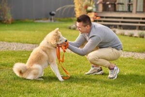 Dog Trainer Memphis TN