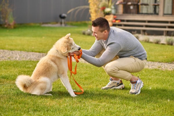 Dog Trainer Memphis TN