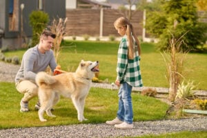 Dog Training Boston MA