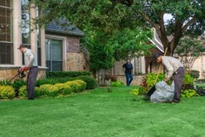 Landscaping Company in Grapevine TX