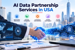 AI Data Partnership Services in USA