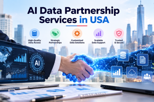 AI Data Partnership Services in USA