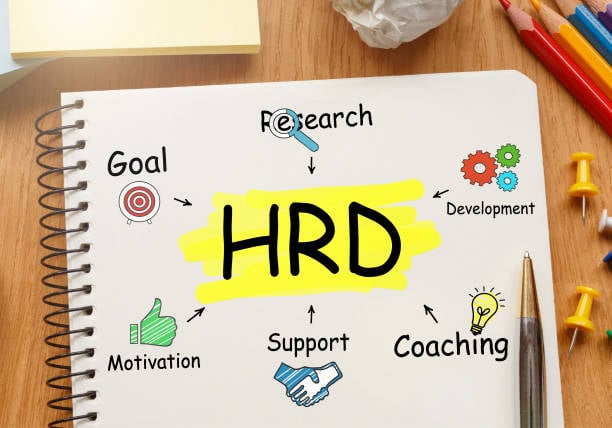 Best CIPD Assignment Topics for HR Students in 2026
