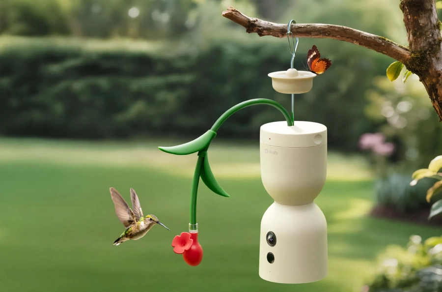 Birdfy
