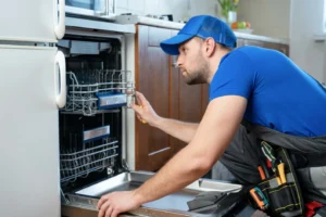 Dishwasher System Services Cooper City FL, Appliance System Repair Company