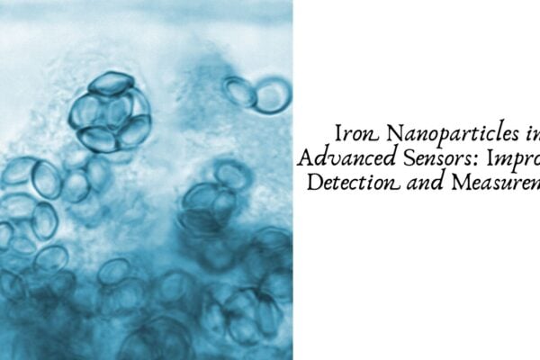 Iron Nanoparticles in Advanced Sensors: Improving Detection and Measurement