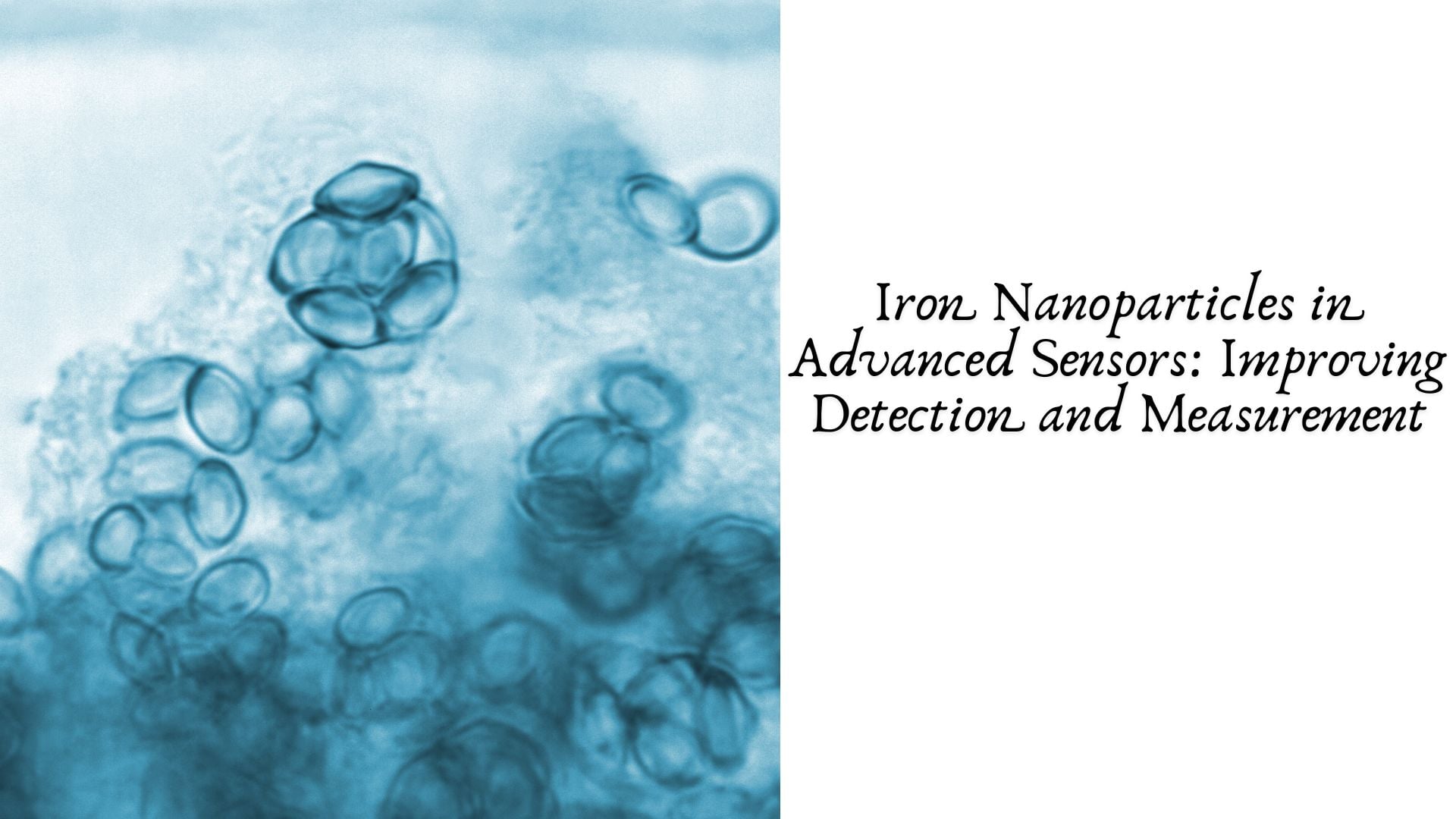Iron Nanoparticles in Advanced Sensors: Improving Detection and Measurement