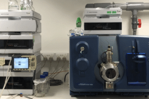 LC-MS MS Analysis