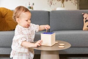 One Year Old Montessori Toys