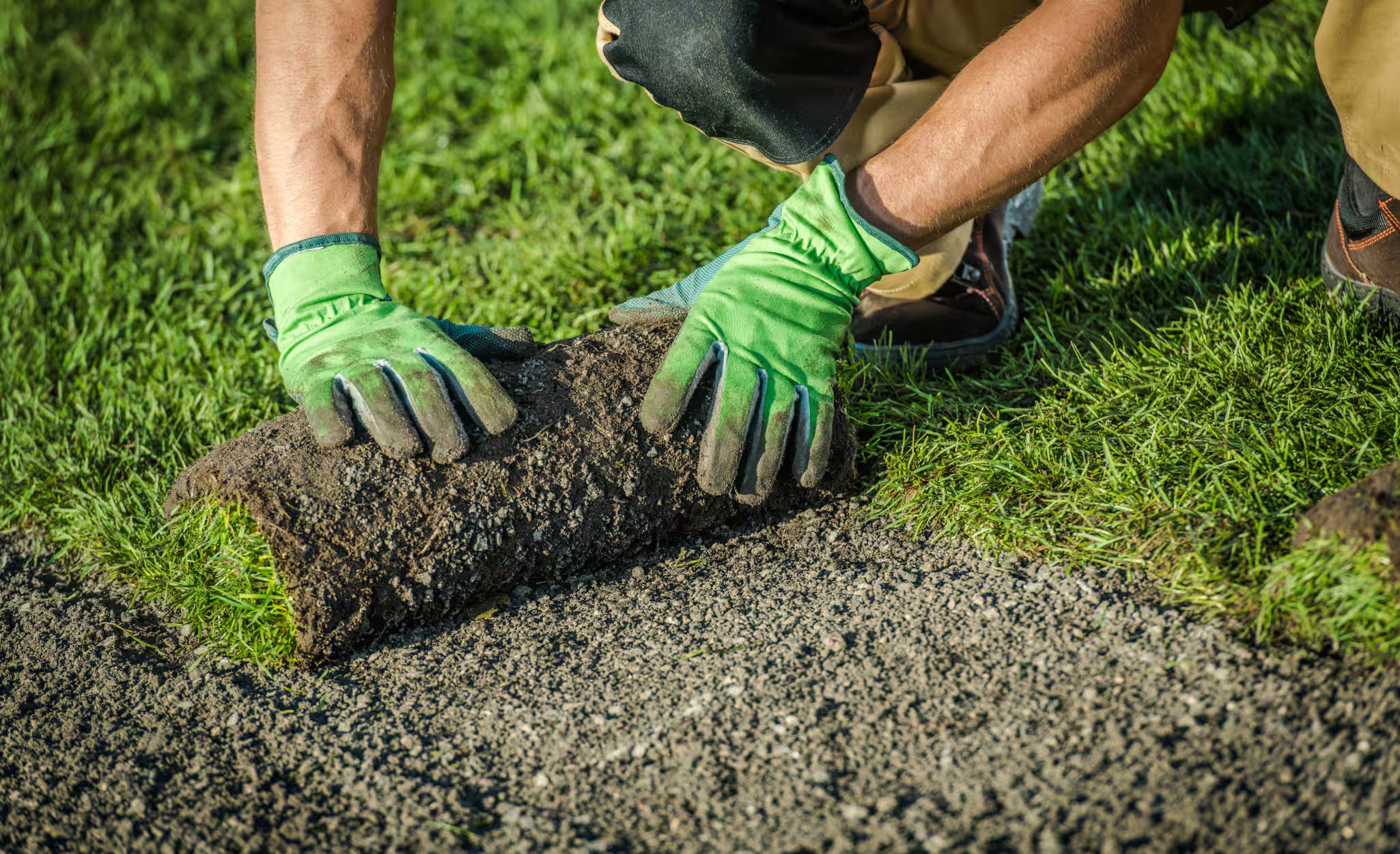 Turf Management