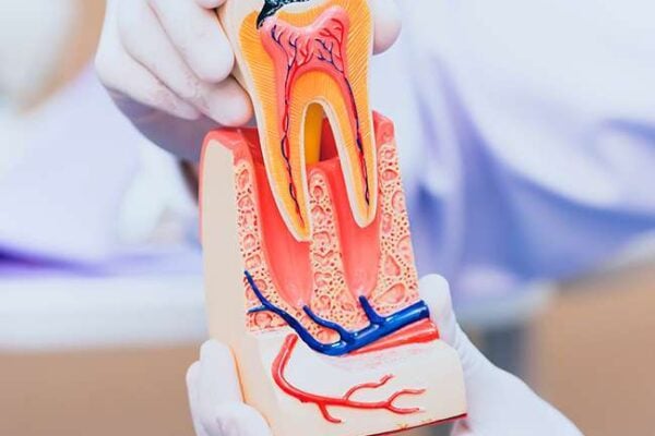 endodontist dubai