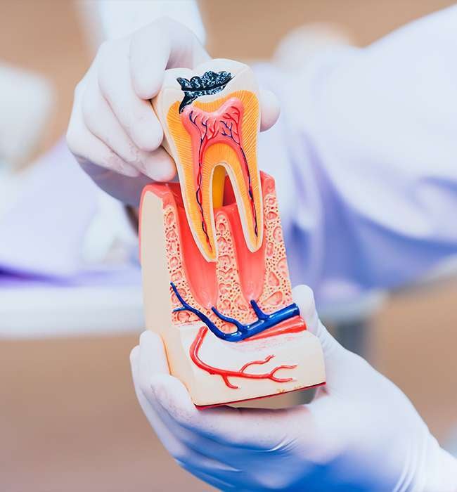 endodontist dubai