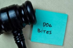 Dog Bite Cases