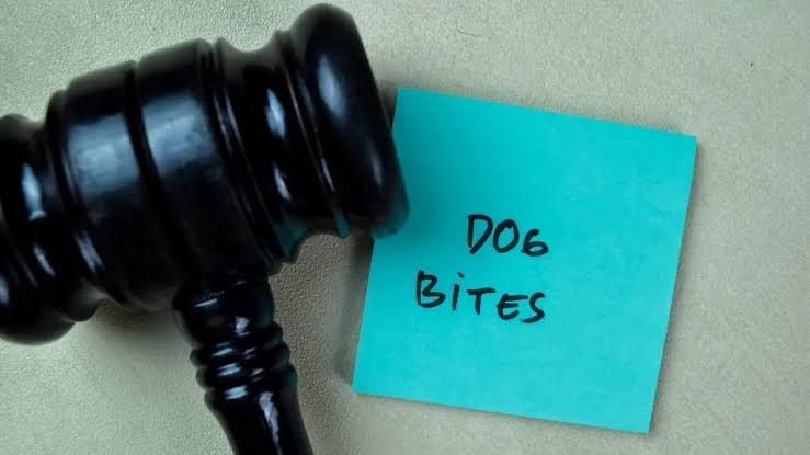 Dog Bite Cases