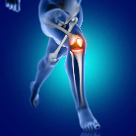 orthopedic doctor Ambikapur