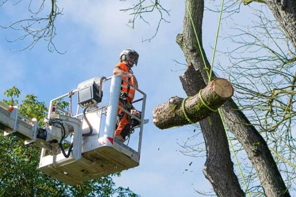 24/7 Tree Surgery Preston