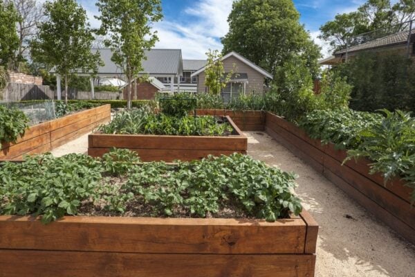 Vegetable Garden Installation
