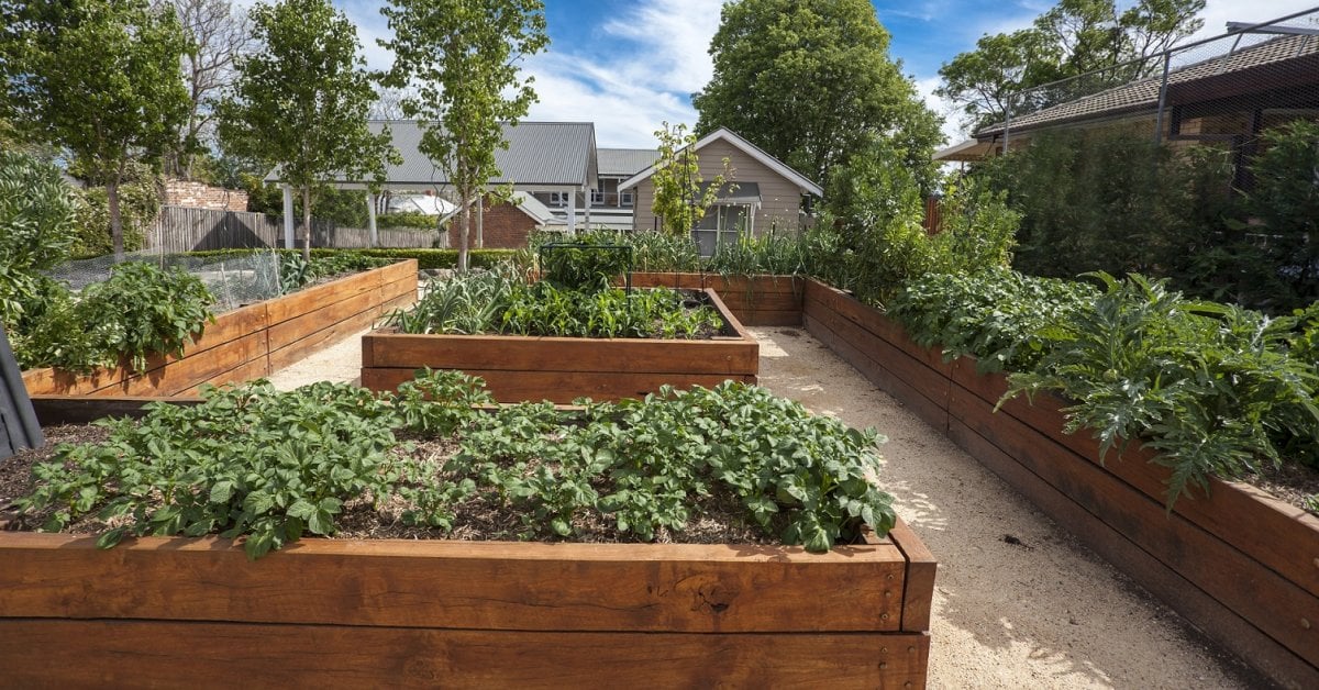 Vegetable Garden Installation