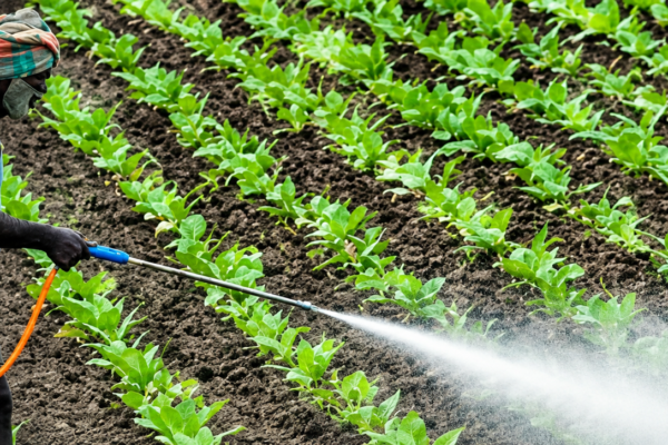 agrochemical supplier