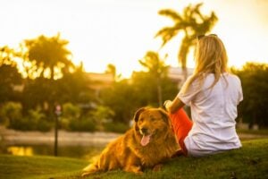 Dog Trainer South Coast MA