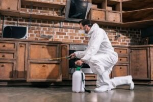 pest-control-services-in-lahore