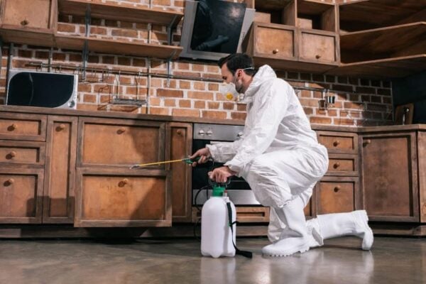 pest-control-services-in-lahore