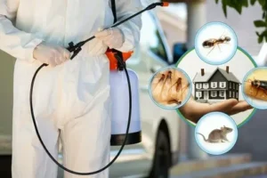 pest control services in Lahore