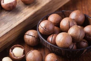 Why Does Macadamia Price in India Vary So Drastically Across Sellers?