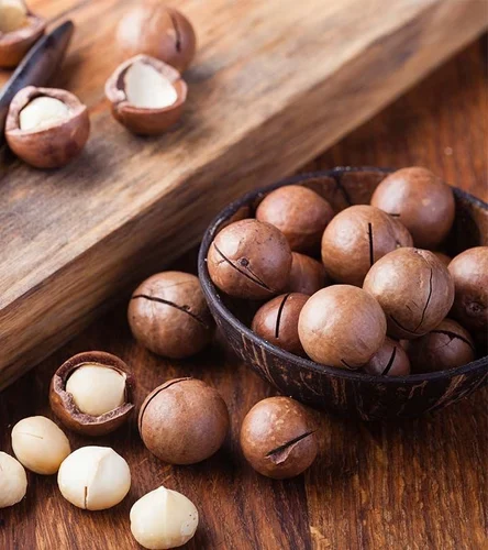 Why Does Macadamia Price in India Vary So Drastically Across Sellers?