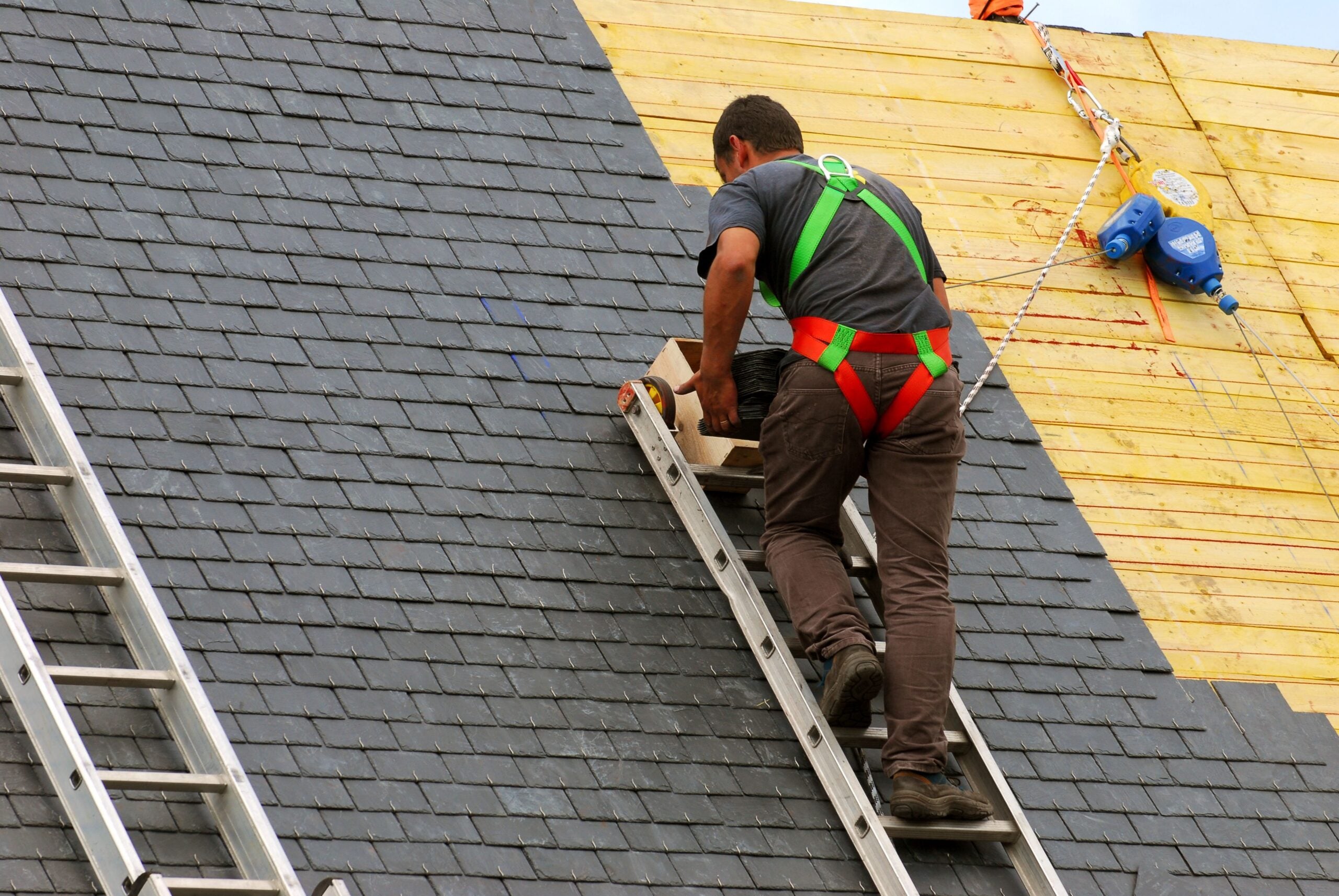 asphalt shingle roof