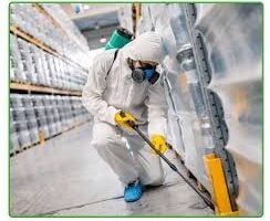 termite control services in Lahore